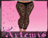 Net Sexy Black Pants