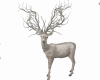 Winter Deer