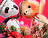 Xmas Teddy Bear