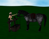 Horse With Hitching Post