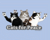 cats for peace