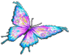 Ani Pretty Butterfly