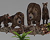 Bear Family