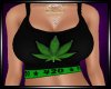 [BB]Weed 420 Top