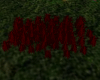 longue herbes rouge