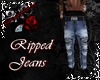 Riped Jeans