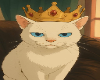 gato oscar
