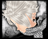 [XeC]Akito-WH
