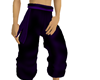 purple saiyan pants