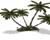 {LS} Palm Trees -2