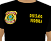 cs. Delegado proenca