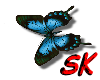 (sk) butterfly13