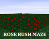 [S83] QOH: Rose Maze