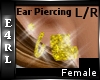 E: Gold Ear Piercing