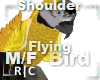 R|C Bird Yellow M/F