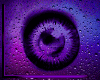 Purple Rain Eyes