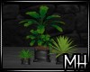[MH] TA Trio Plants