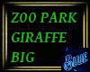 Zoo Park Giraffe Big