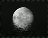 Silver Moon 2