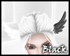 BLACK white head wings F
