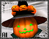 WitchPumpkin Compagnon