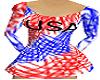USA Figure Skate Dress