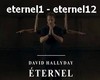 David Hallyday - Eternel