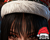 ♛ 2025 Xmas G Hat.