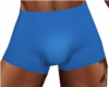 Blue Mens Shorts