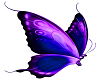 Purple Butterfly2