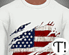 T! 4th July Ripped Tee