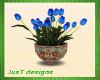 Blue Tulips in Planter