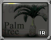 [IR] Palmtree