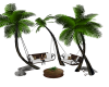 Tropical Swing w/poses
