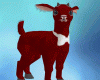 Red Baby goat