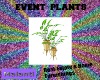 DM|Event Plants