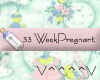 33 Weeks Pregnant (P)