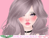 Neko's| Witch