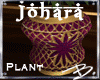*B* Johara Plant 2