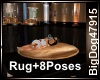 [BD] Rug+8Poses