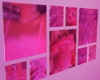 s. babygirl posters<3