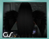 GS Black Wings
