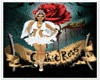 CISNE
