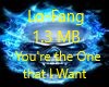 *C Lo-Fang-One I Want