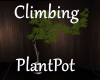 [BD]ClimbingPlantPot