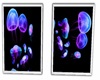Purple JellyFish Pics