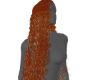 CURLY GINGER
