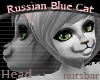 (n) russian blue head