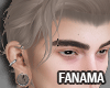 FA | lightbrown13