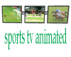 sports tv animated